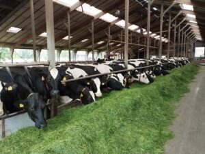 Stikstof, hoe nu verder?