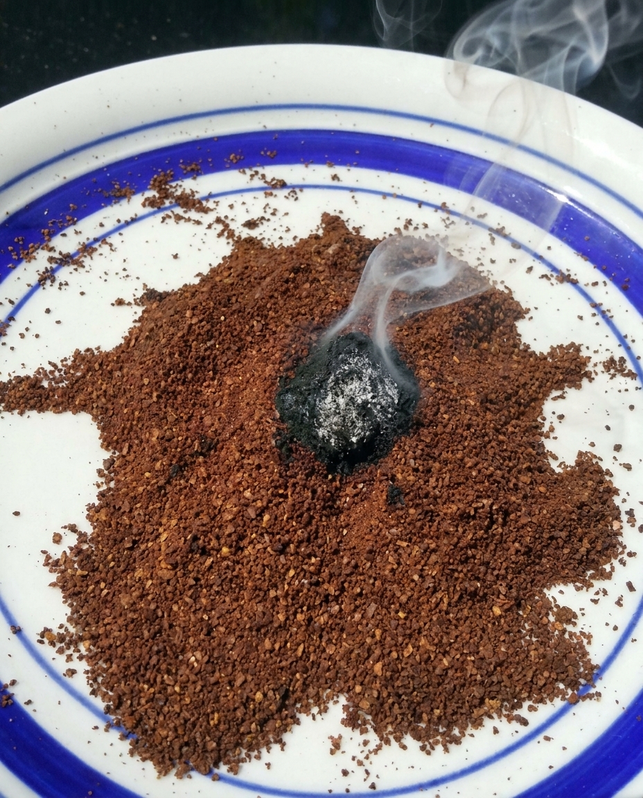 Hij steekt koffie in brand in zijn tuin : als je ziet waarom, doe je dit vanavond ook!